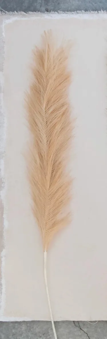 Faux Pampas Grass, Beige, Set of 2