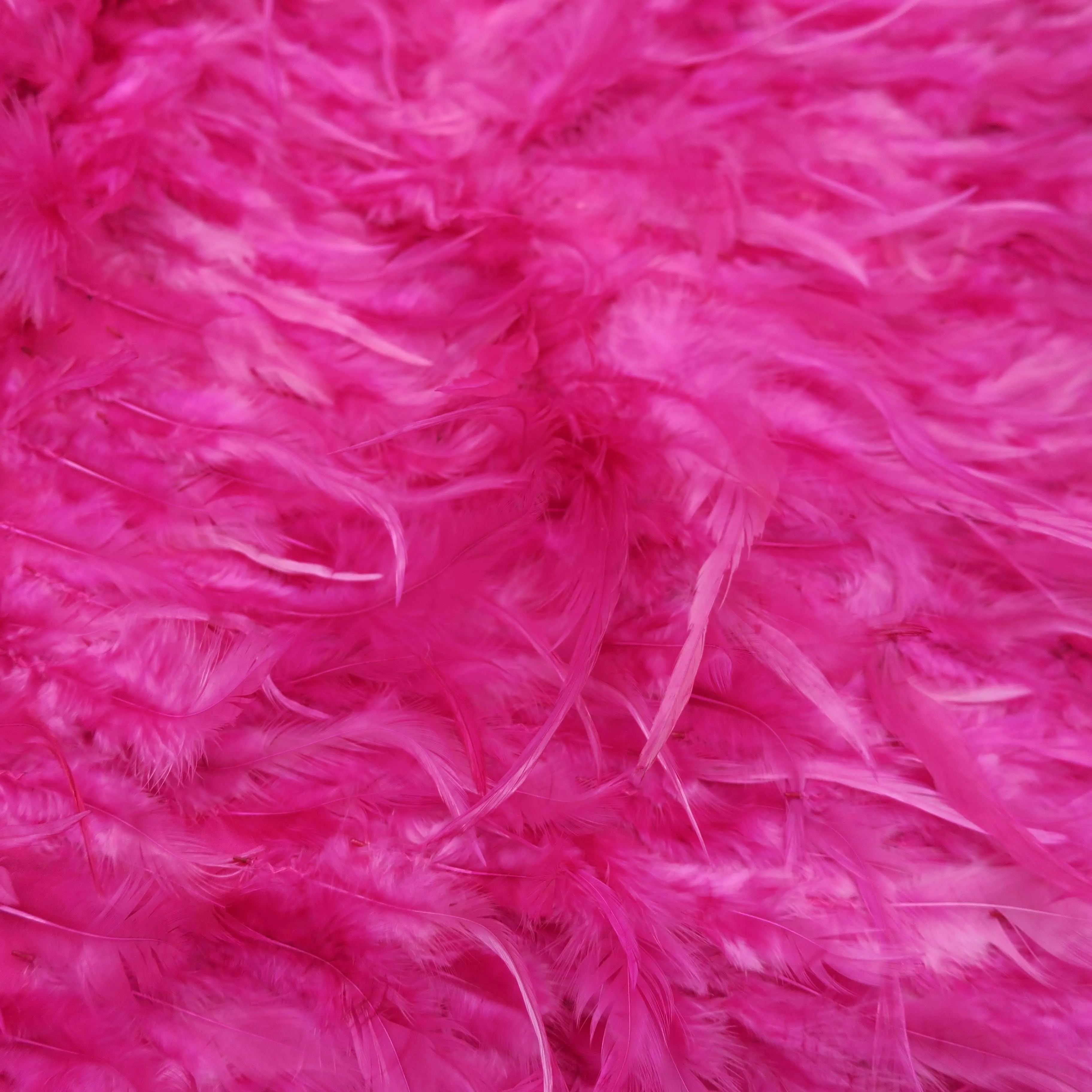Hot Pink Feathered Embroidered Fashion Fabric