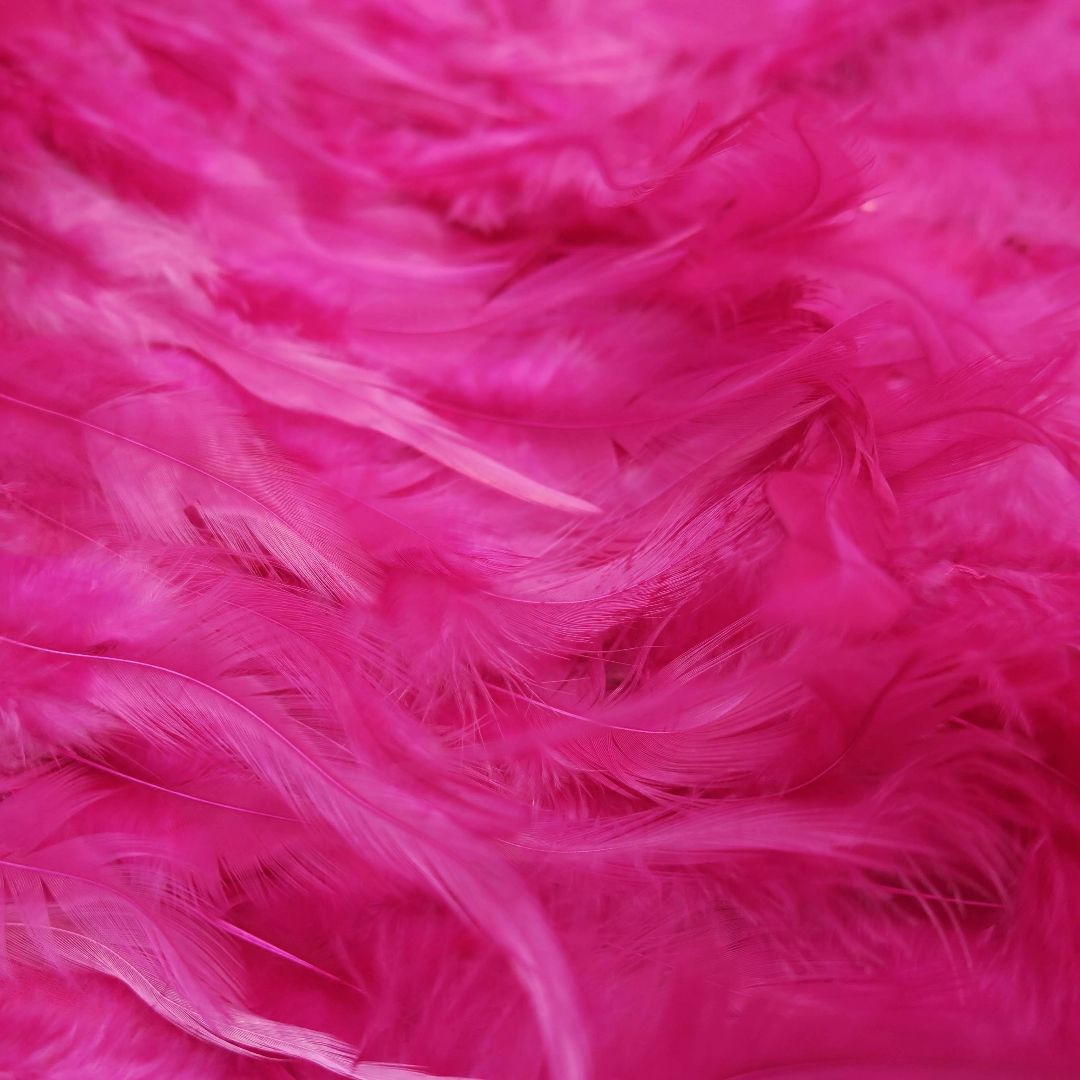 Hot Pink Feathered Embroidered Fashion Fabric
