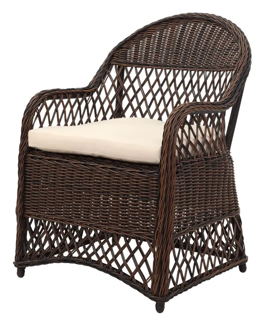 Safavieh Davies Wicker Arm Chair With Cushion , PAT2510