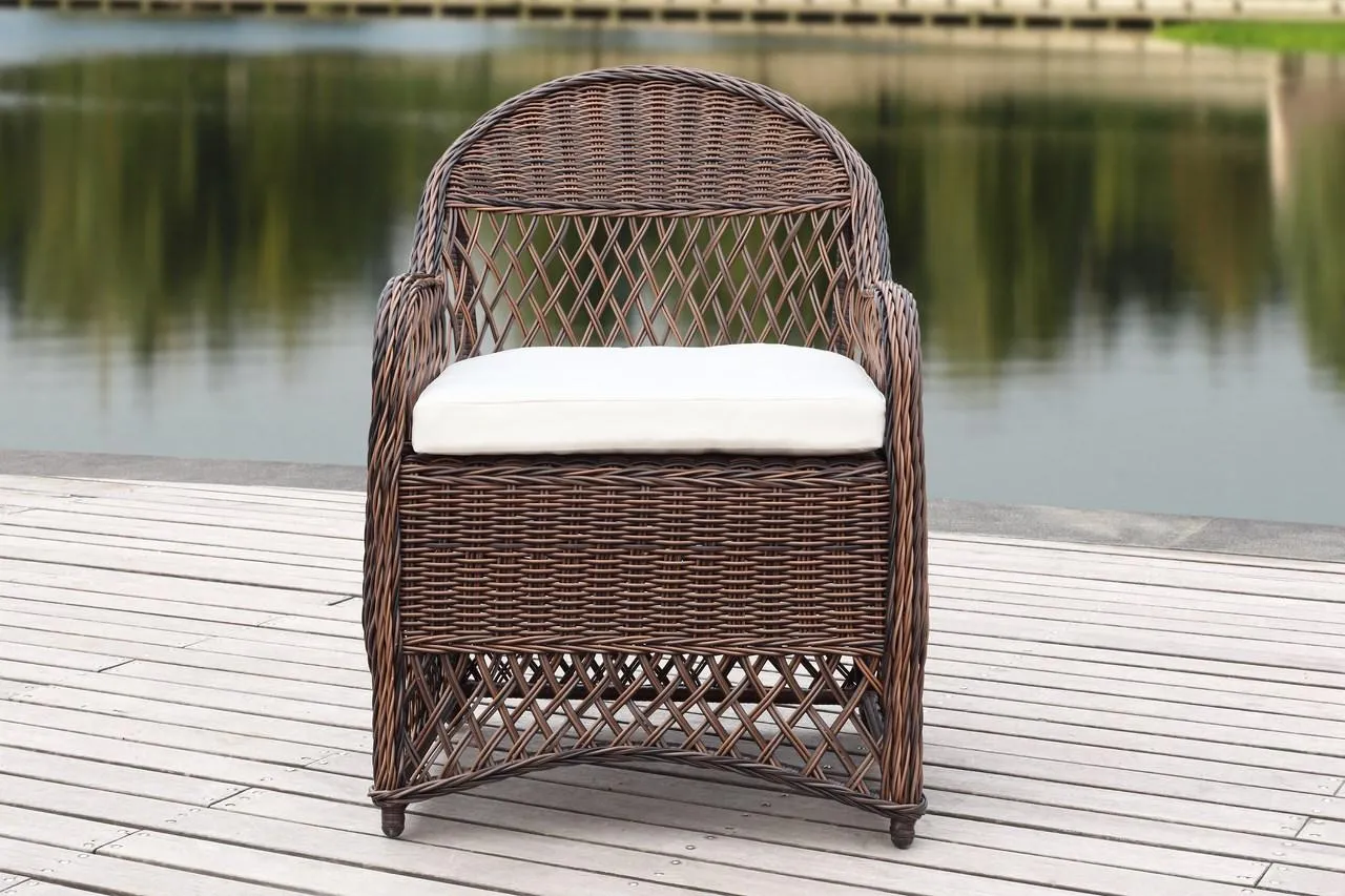 Safavieh Davies Wicker Arm Chair With Cushion , PAT2510