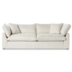Stevie Sofa, Anders Ivory